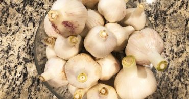 Hardneck garlic bulbs in a glass bowl on a counter