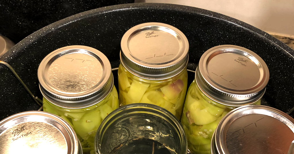 Six Ball mason jars filled with banana peppers in a water bath canner
