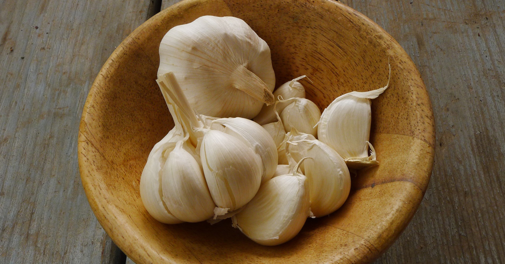 Hardneck garlic bulbs and garlic cloves in a wooden bowl