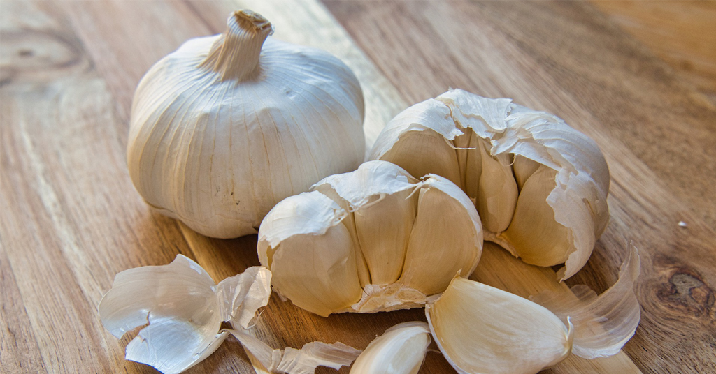 Softneck Garlic bulbs and cloves broken open on a counter