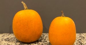Two sugar pumpkins on a counter