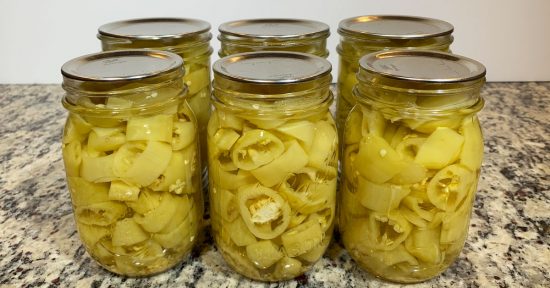 Six Ball mason jars filled with water bath canned pickled banana peppers