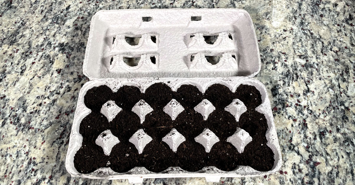 Paper pulp egg carton with eighteen spaces for eggs filled with Seed Starting Soil Mix. DIY Seed Starting Continer