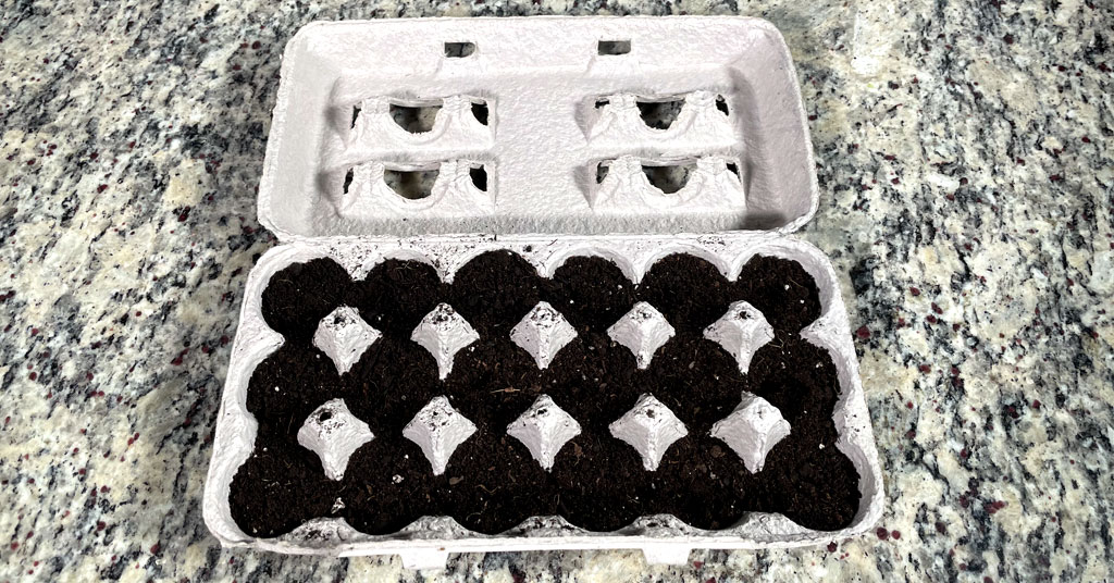 Paper pulp egg carton with eighteen spaces for eggs filled with Seed Starting Soil Mix. DIY Seed Starting Continer