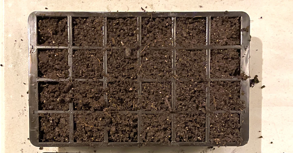 Twenty four cell seed starting container filled with soil