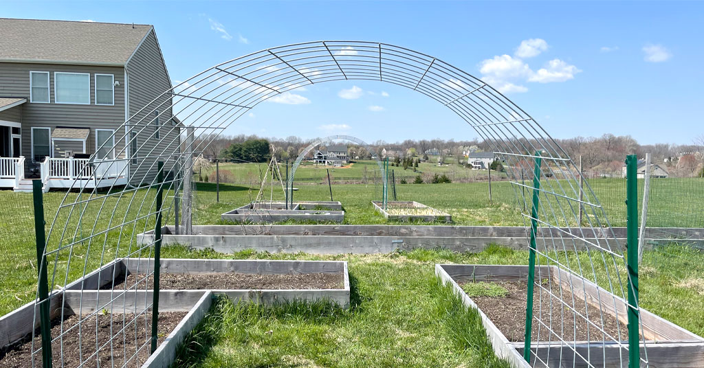 Cattle panel arch trellis made out of cattle panel and 4 u-posts. Used for vertically growing vegetables and flowers.