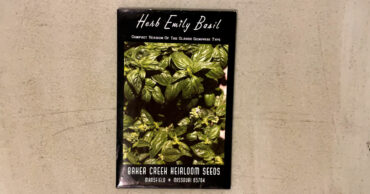 Seed packet for herb Emily Basil. Picture of a basil plant on a seed packet from Baker Creek Heirloom Seeds.