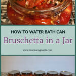 Image showing eight jars of bruschetta sitting on a counter. Open mason jar with bruschetta with tomatoes and garlic and spices.