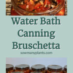 Water Bath Canning Bruschetta. Pinterest Pin showing eight jars of bruschetta sitting on a counter. Open mason jar with bruschetta with tomatoes and garlic and spices. www.sowmanyplants.com