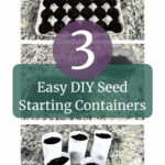 Three Easy DIY Seed Starting Containers. Pinterest pin about how to create 3 easy DIY Seed Starting Containers. Containers include a paper egg carton, toilet paper rolls, and take out containers. www.sowmanyplants.com