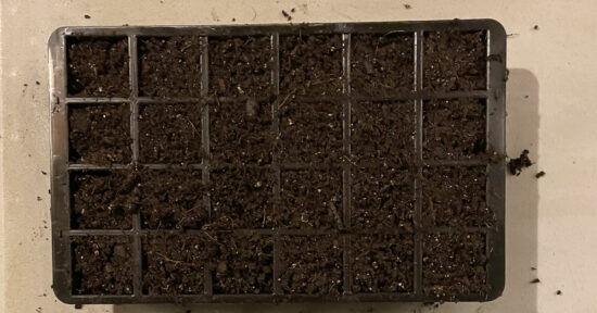 Seed Starting Tray with 24 cells