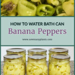 Pinterest pin about how to water bath can banana peppers. Top image is of sliced banana peppers and bottom image of 6 canning jars of banana peppers.