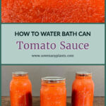 Pinterest Pin showing 3 jars of Tomato Sauce that have been water bath canned.