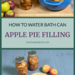 Pinterest Pin. How to Water Bath Can Apple Pie Filling. Showing Apple Pie filling in a blue enameled dutch oven being ladled into quart size mason jar. Apple pie with apples and two quart size mason jars.