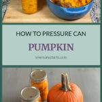 Pinterest Pin for How to Pressure Can Pumpkin from sowmanyplants.com. Images of quart size mason jars of pressure canned pumpkin before and after processing. Also a pie pumpkin sitting next to mason jars of pumpkin cubes.