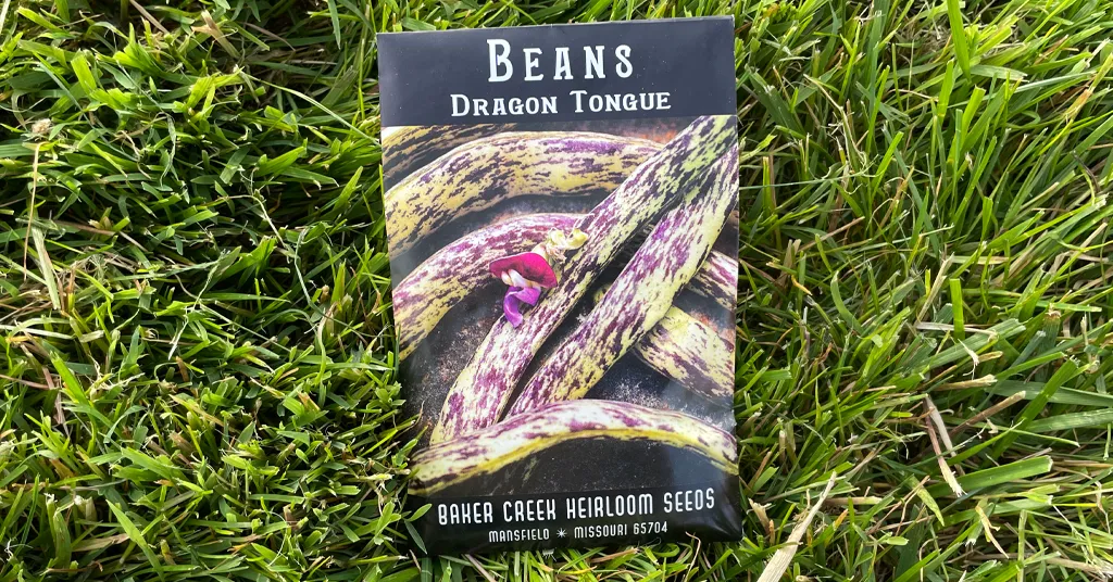 Seed packet of Dragon Tongue Green Beans sitting in the grass.