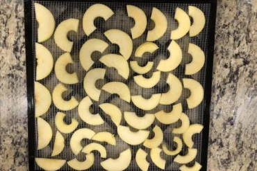 Dehydrating Apple Slices. Apple slices sitting on a mesh dehydrator tray.