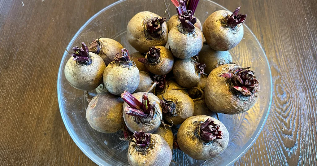 A glass bowl filled with freshly harvested beets, showcasing earthy roots with trimmed red-purple stems, placed on a dark wooden table.