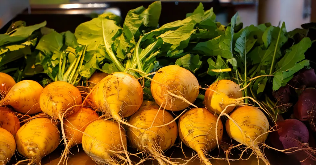 A vibrant display of freshly harvested golden beets with leafy green tops, arranged in a row on a market stand under warm lighting.